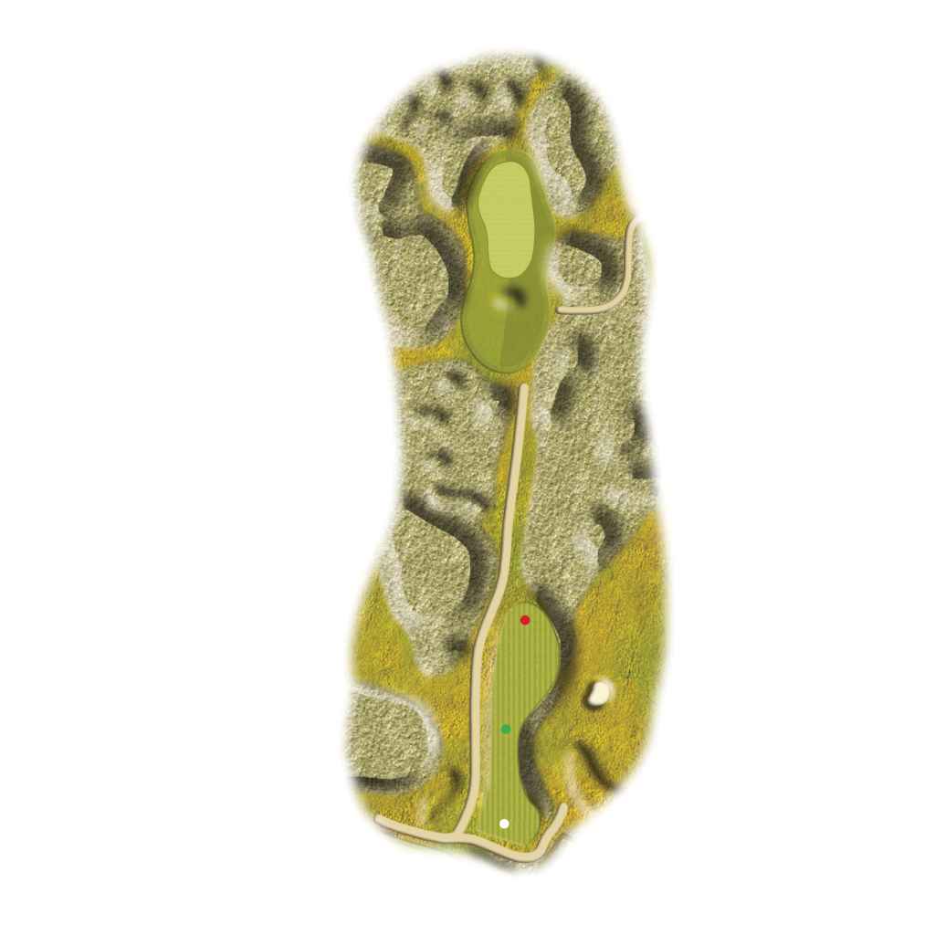 Hole 14 - The Short Puck layout