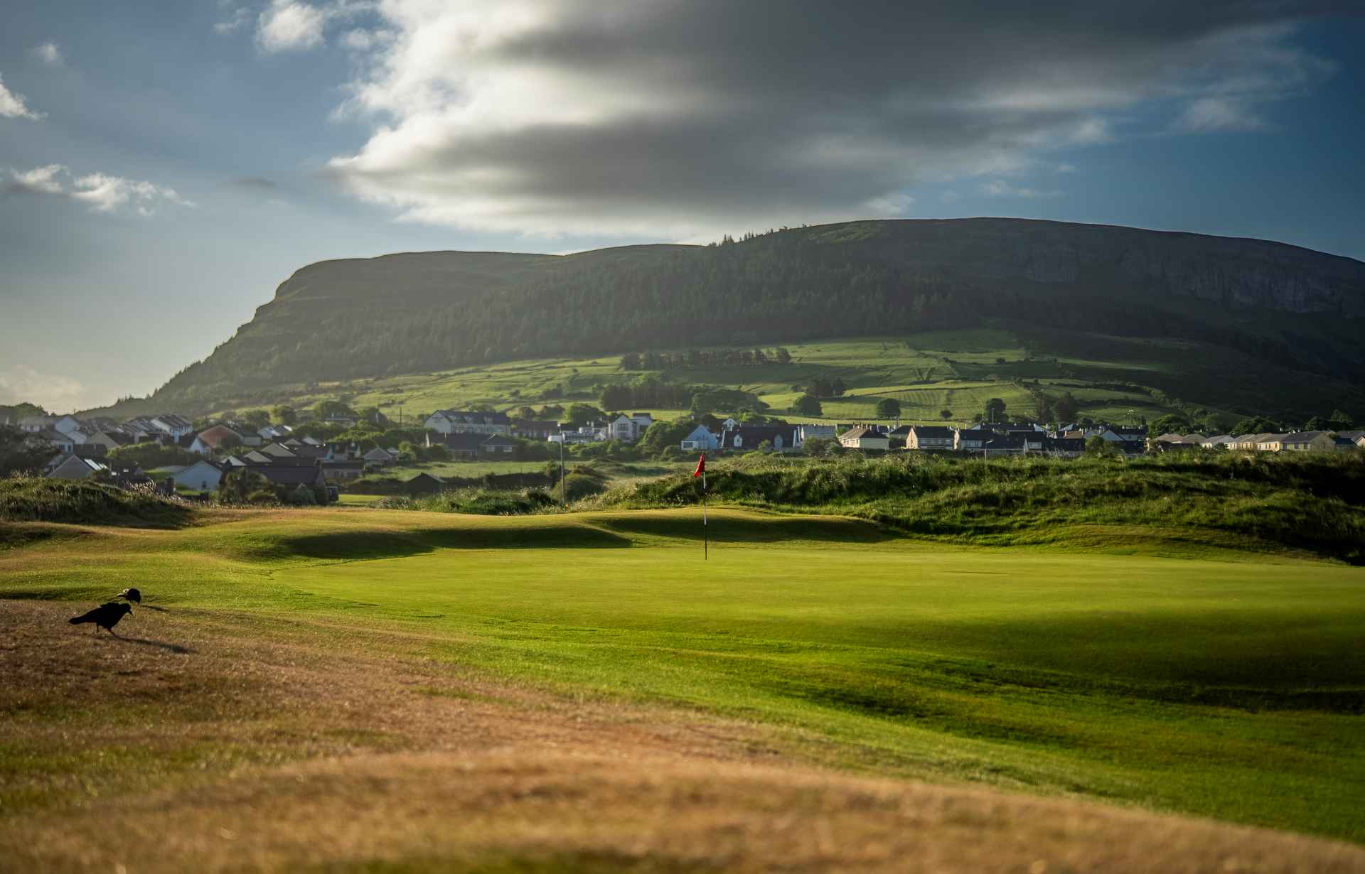 Hole 9 - Leathros - up close of green